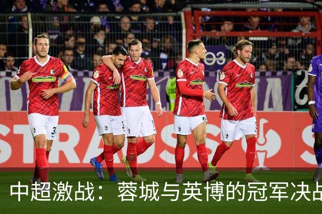 中超激战：蓉城与英博的冠军决战，荣誉与命运的对决
